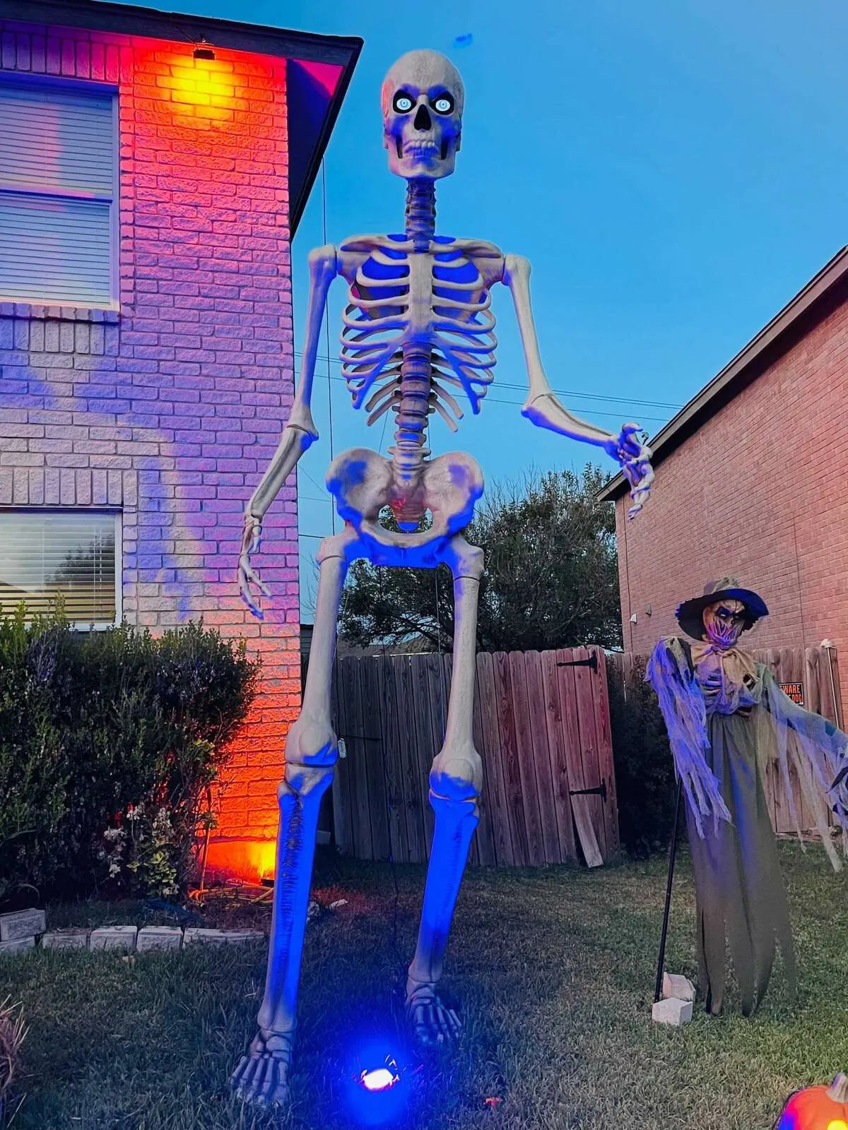 Last Day 60% OFF⏰️💀⚡Halloween Giant Skeleton Decor 🎃🔥